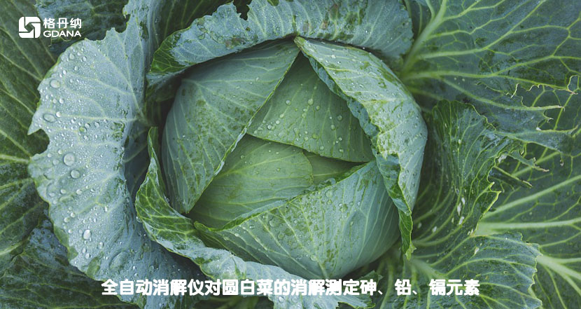 全自動消解儀對圓白菜的消解測定砷、鉛、鎘元素